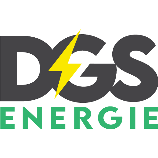 DGS-ENERGIE_Favicon